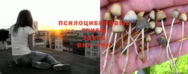 ECSTASY Ростов